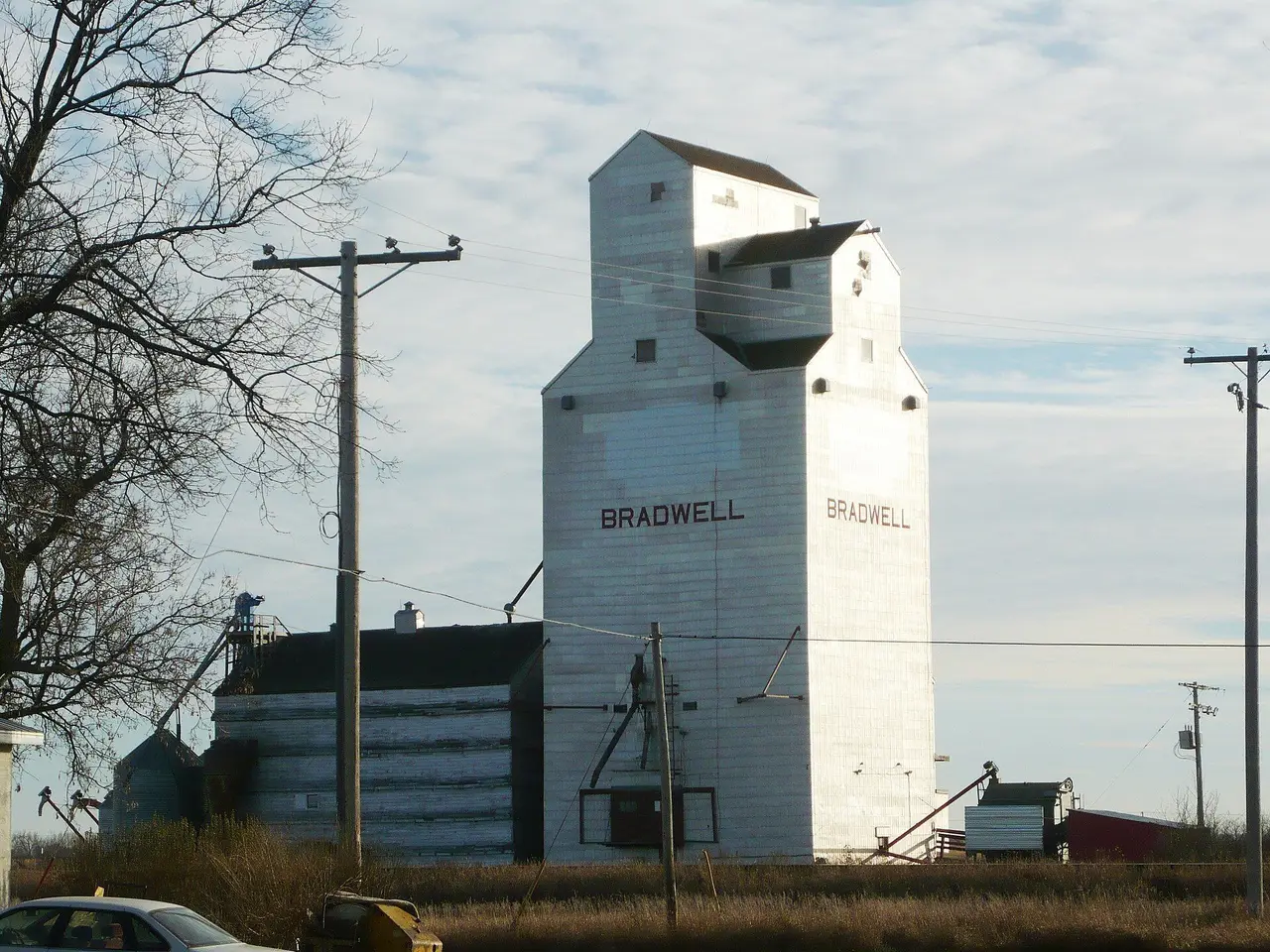 The Bradwell grain elevator, 2010