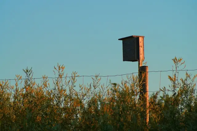 Birdhouse on a fence post
